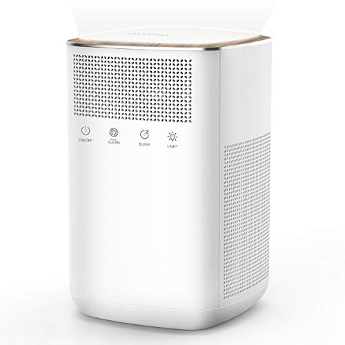 iTvanila Air Purifier